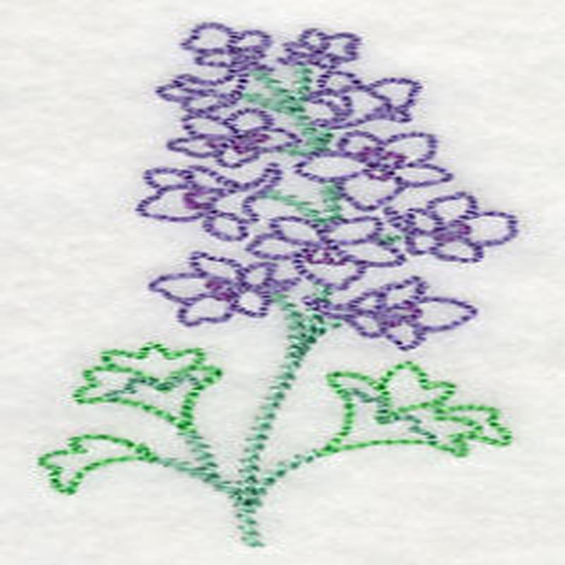 Foothill Larkspur (Vintage)
