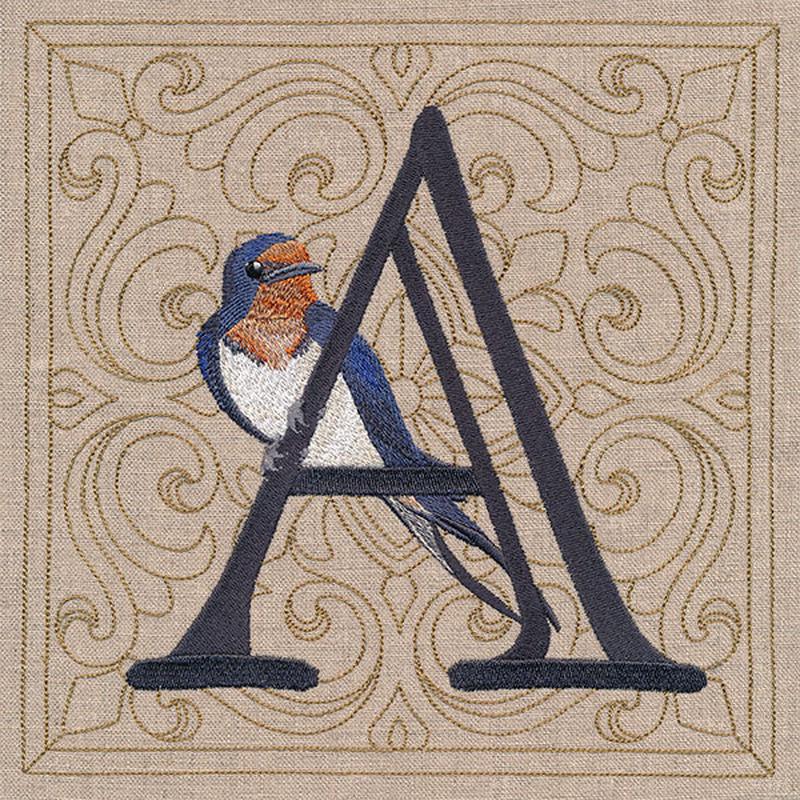 For the Love of Birds Square - Letter A and Eastern Bluebird