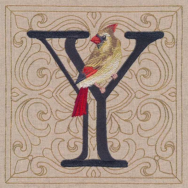 For the Love of Birds Square - Letter Y and Female Cardinal