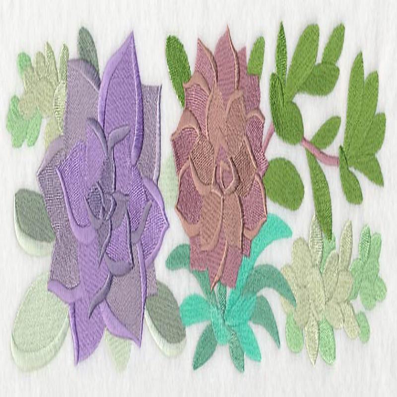 For the Love of Succulents Border