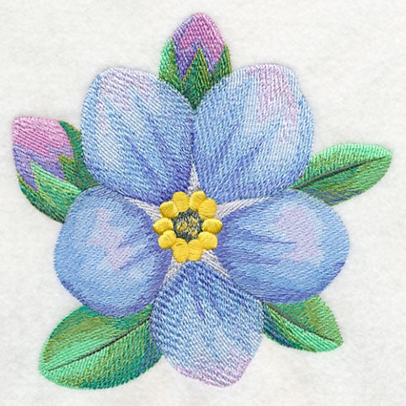 Forget-Me-Not Bloom in Watercolor
