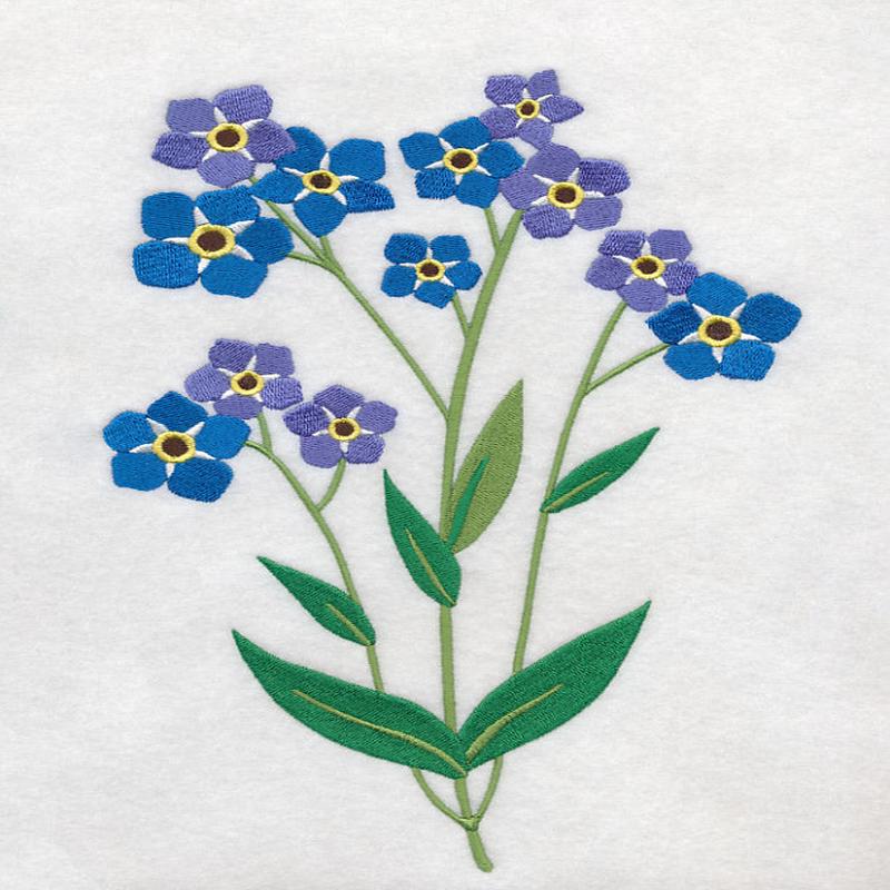 Forget-Me-Not Bunch 1