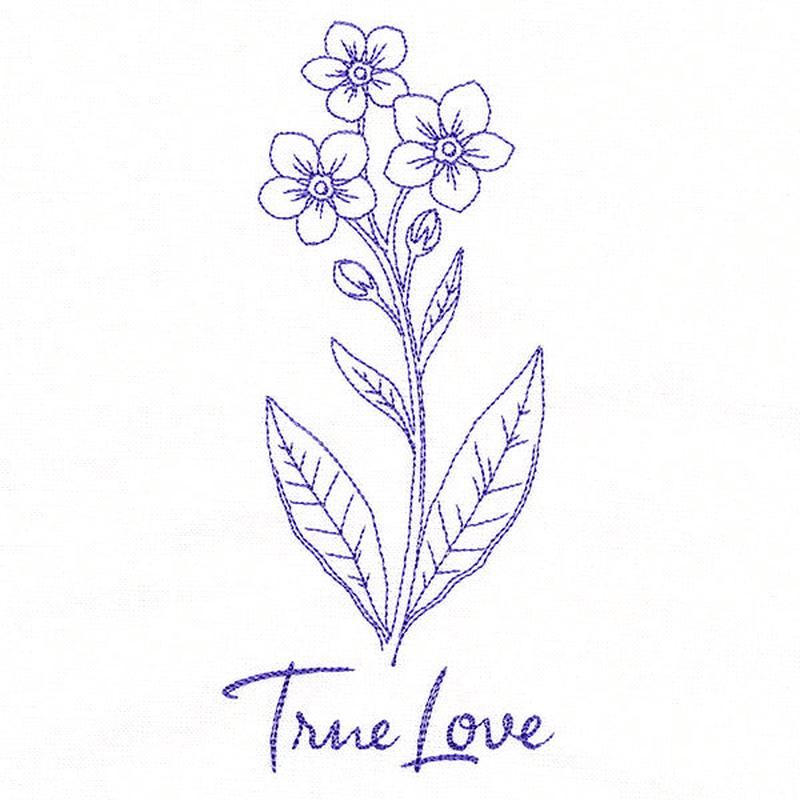 Forget-Me-Nots of True Love (Vintage)