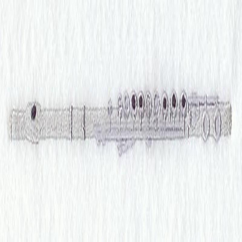 Flute