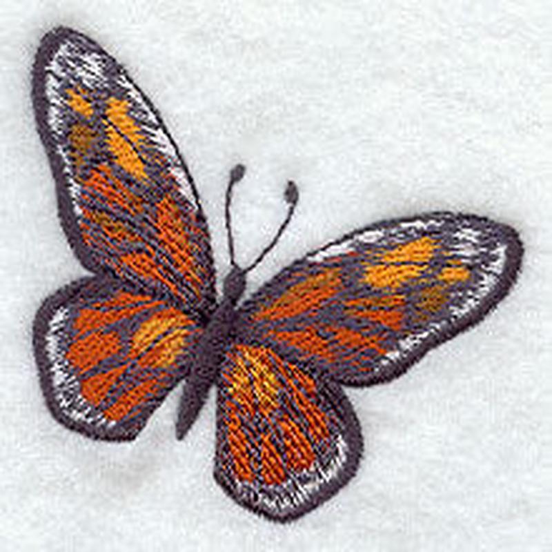 Fluttering Butterfly II