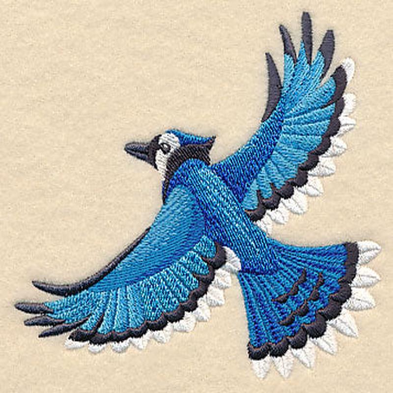 Flying Blue Jay