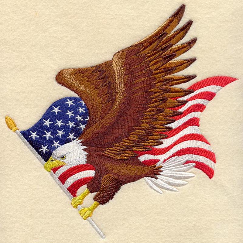 Flying Eagle and US Flag