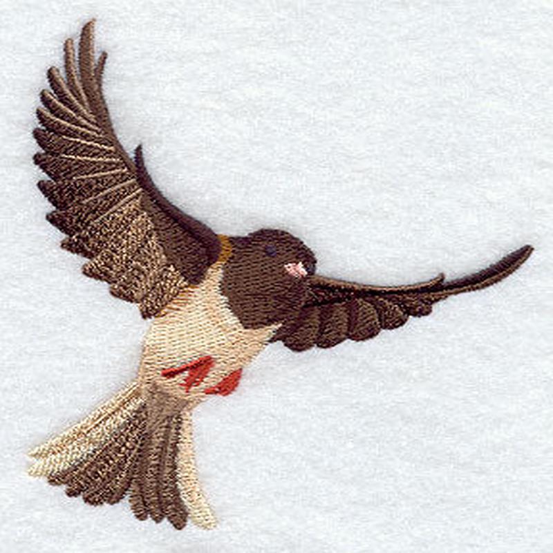 Flying Junco