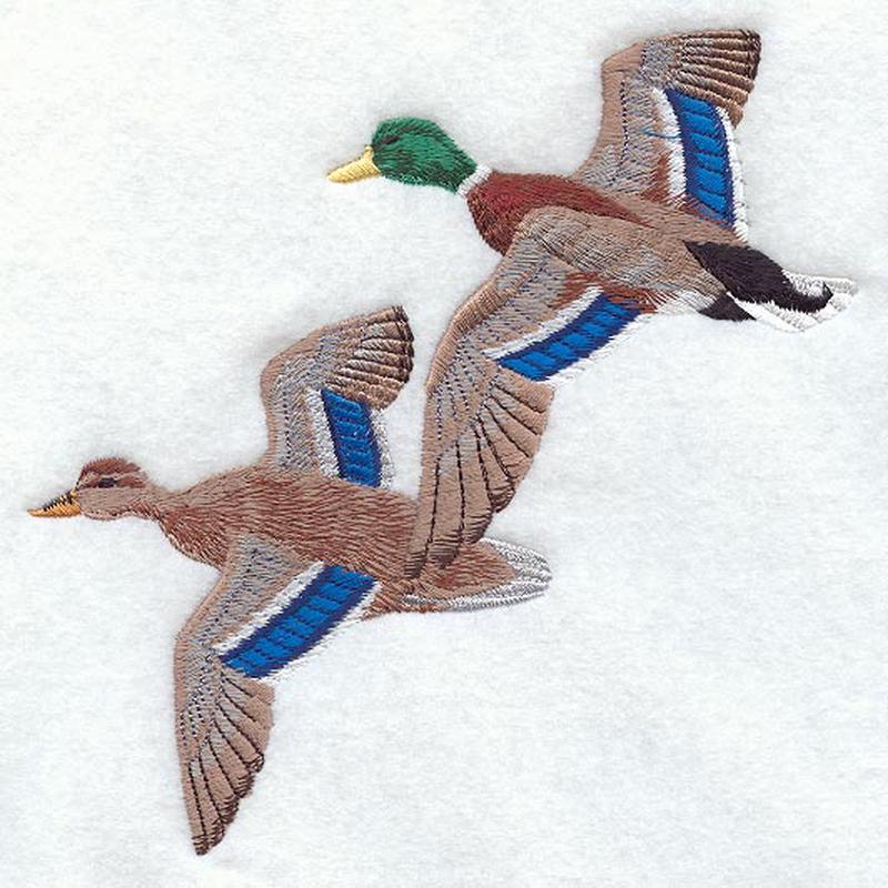 Flying Mallard Pair