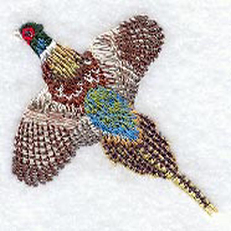Flying Pheasant