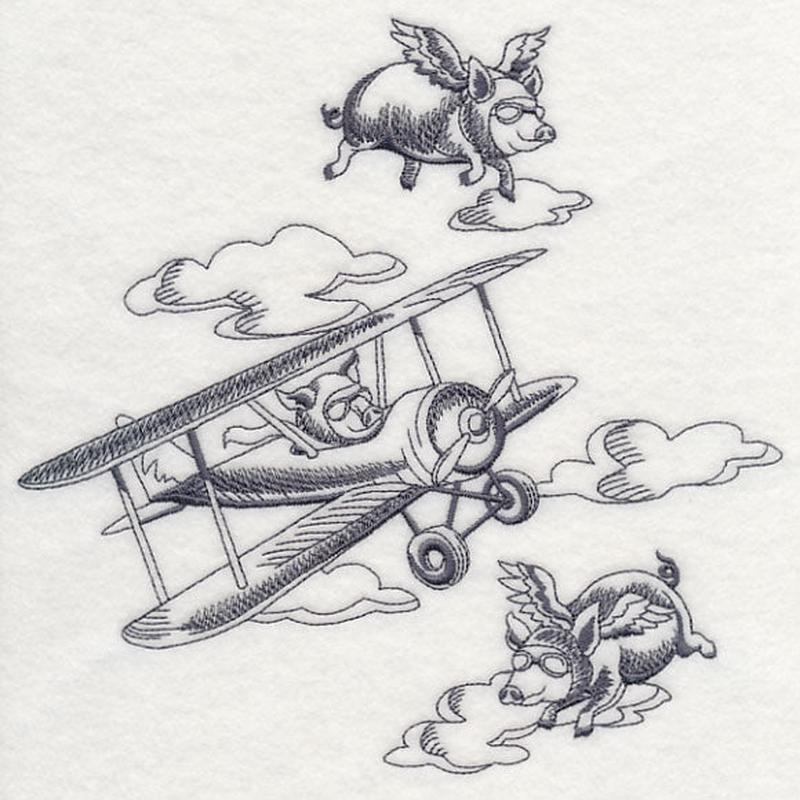 Flying Pigs and Plane