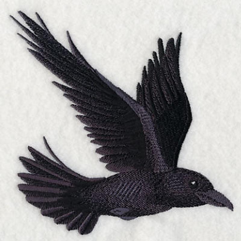 Flying Raven