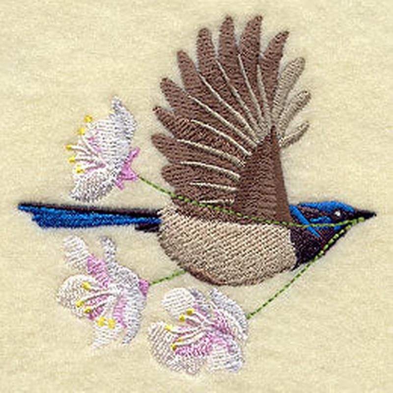 Flying Superb Fairywren with Blossoms