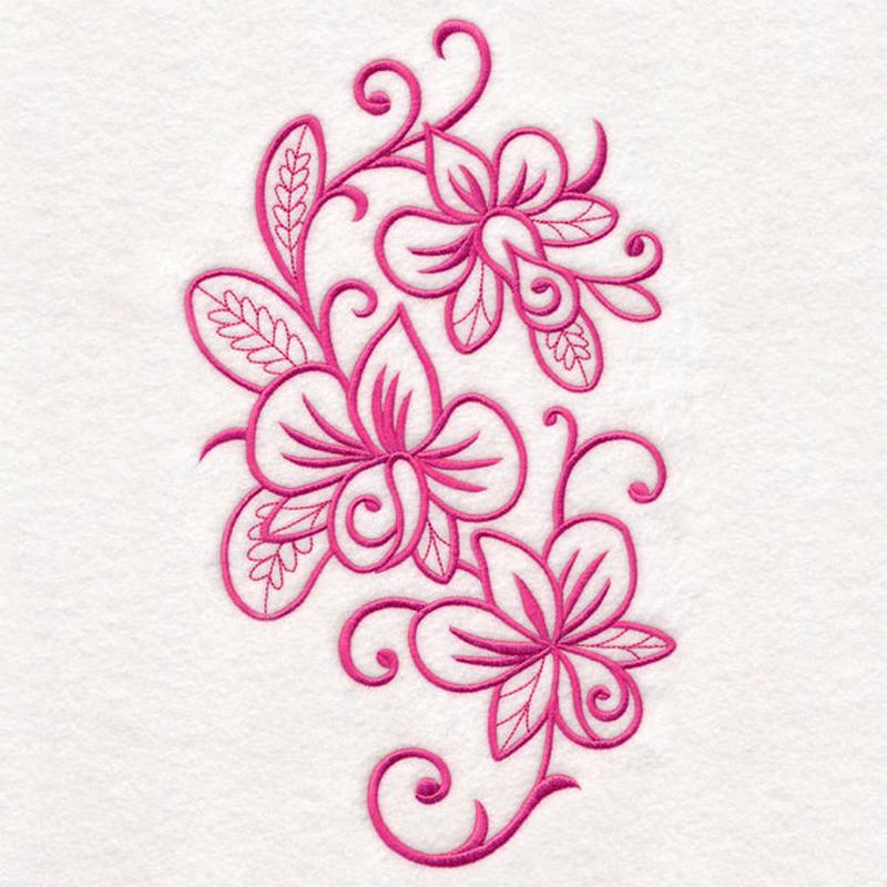 Flowers in Flourish - Orchid