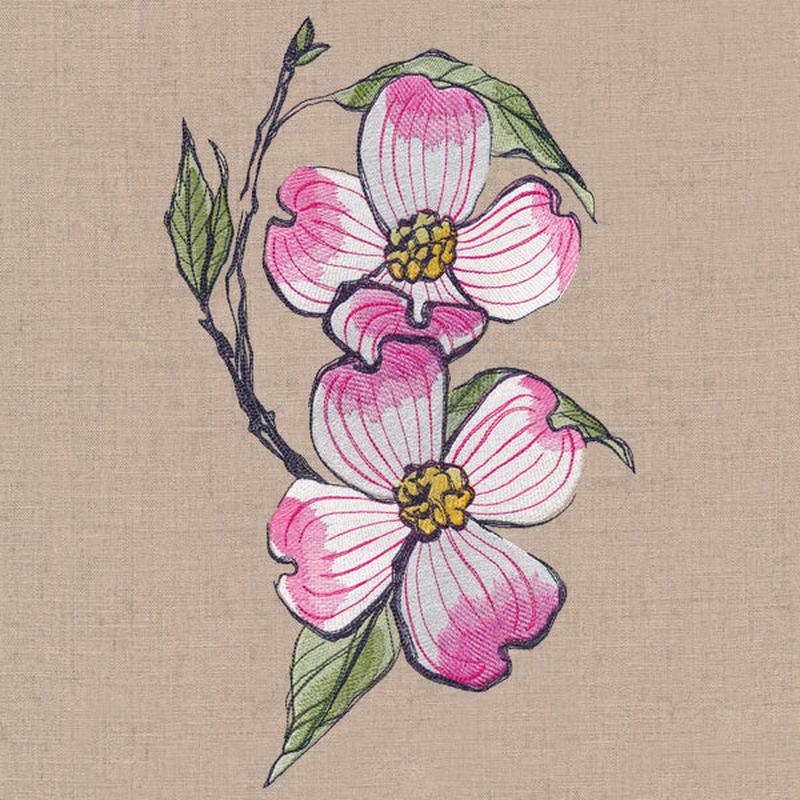 Flowers of the Forest - Dogwood
