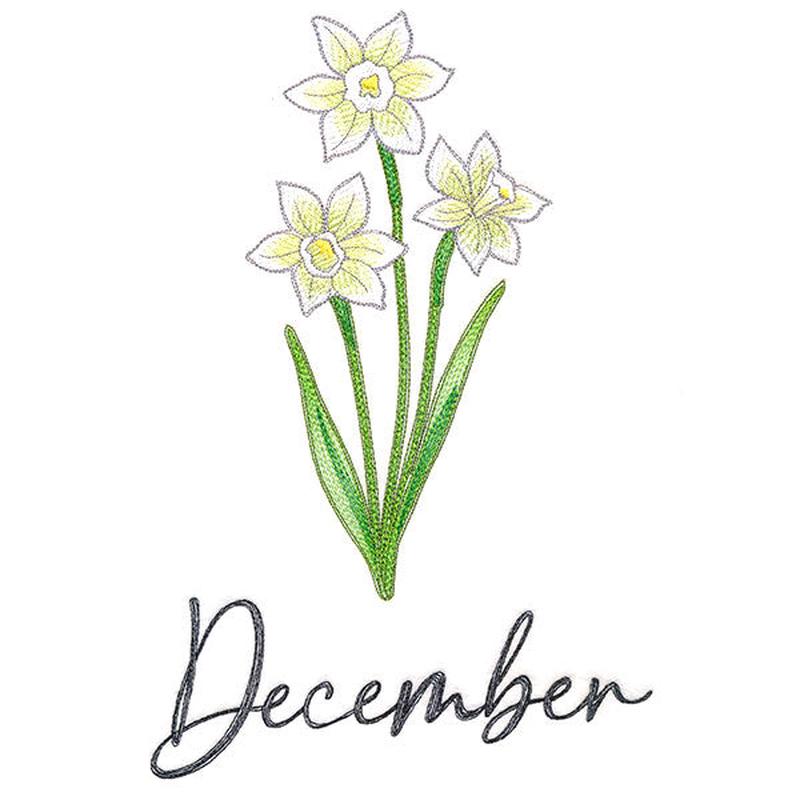 Flowers of the Year - December