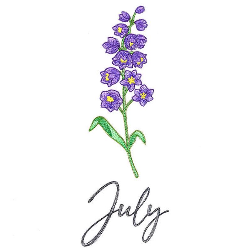 Flowers of the Year - July