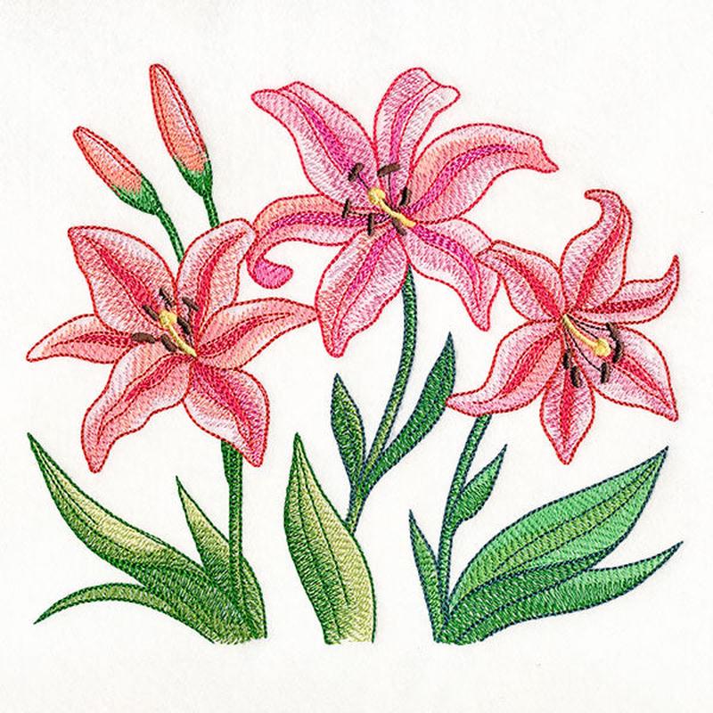 Flourish and Grow Lilies Border