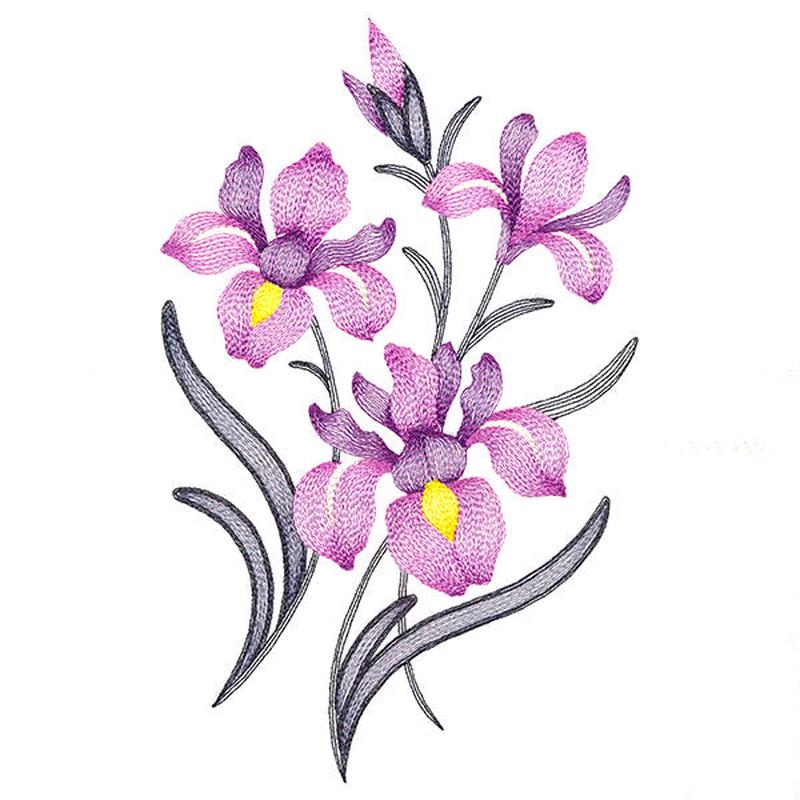 Flourishing Bouquet - Irises