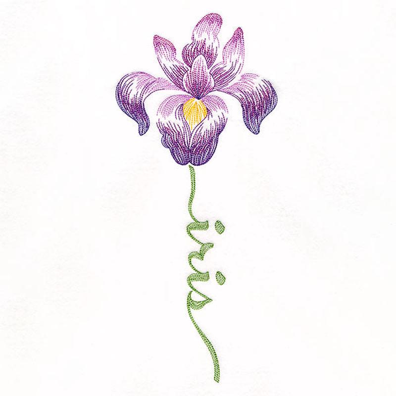 Flourishing Calligraphy - Iris