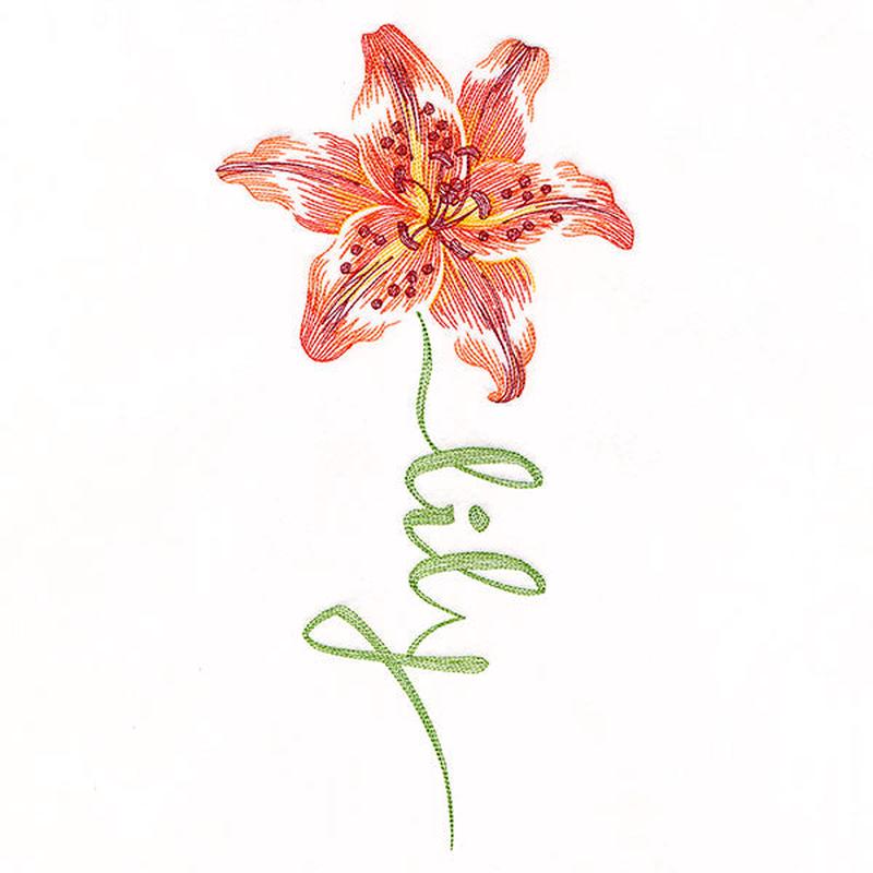 Flourishing Calligraphy - Lily