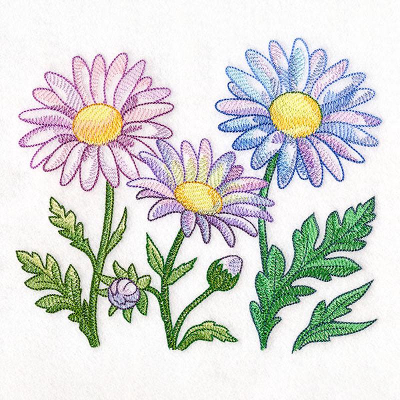 Flourish and Grow Daisies Border