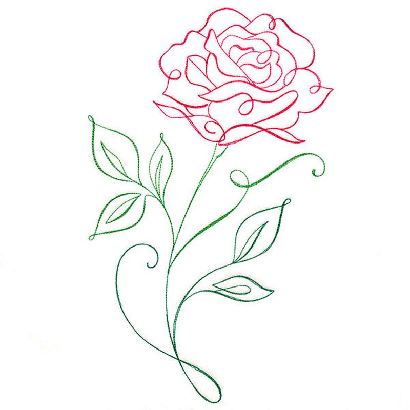 Floral Calligraphy - Rose