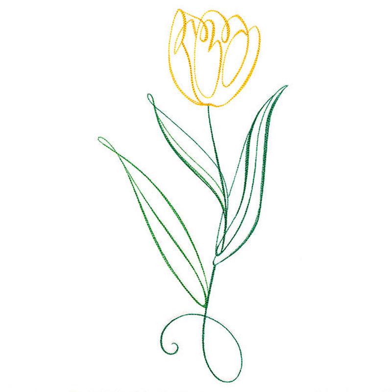 Floral Calligraphy - Tulip
