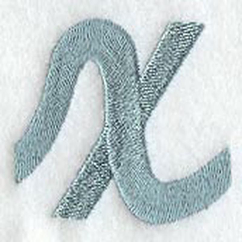 Flair Script Lower Case Letter x (3 Inch)
