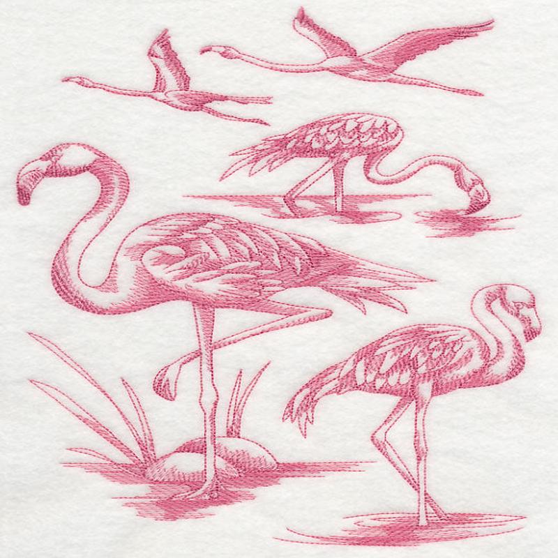 Flamingo Sketch
