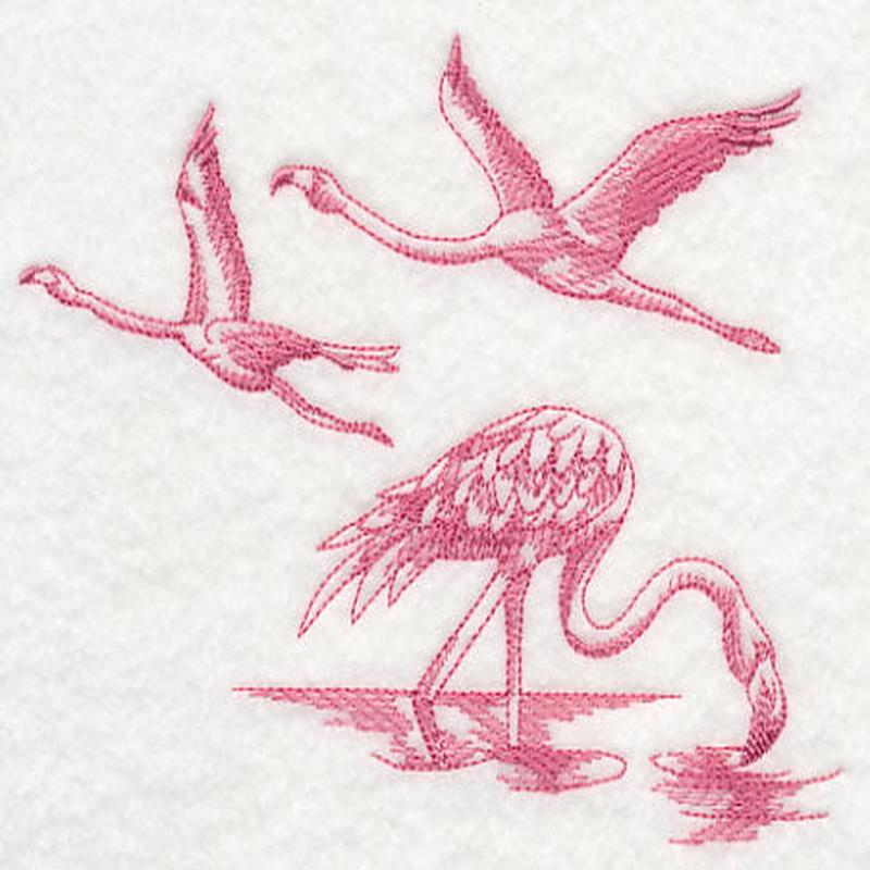 Flamingos Take Flight