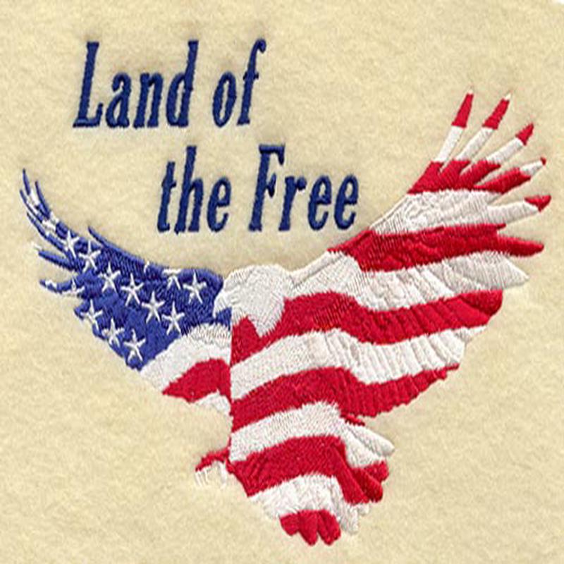 Flag & Eagle Silhouette