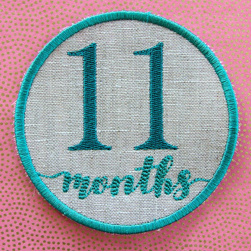 First Year Milestone Marker - Eleven Months (In-the-Hoop)
