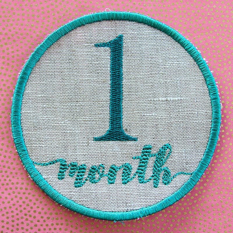 First Year Milestone Marker - One Month (In-the-Hoop)