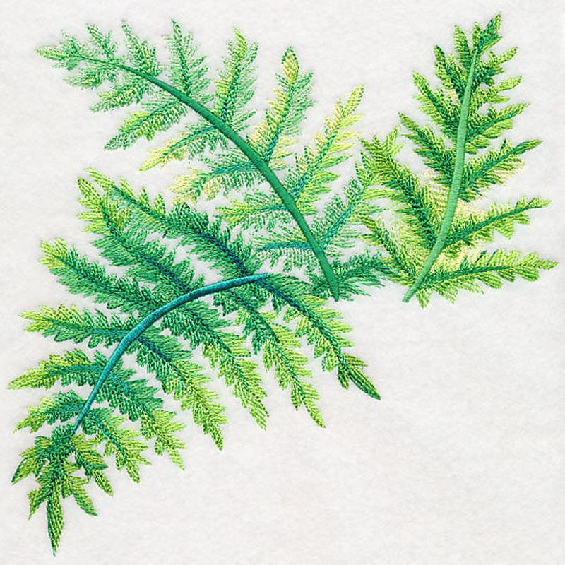 Ferns in Watercolor
