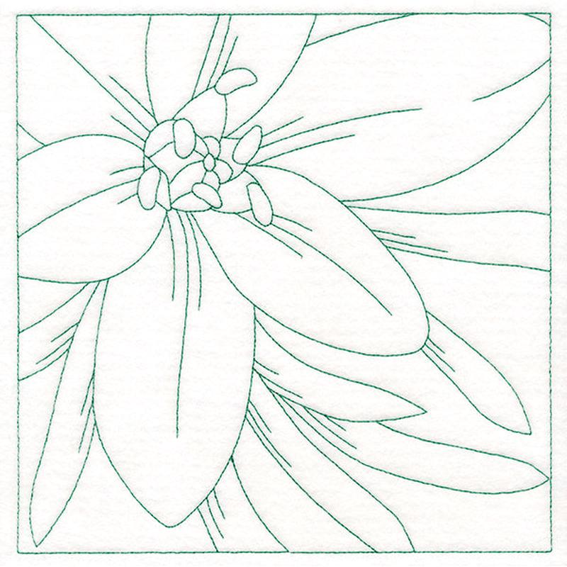 Festive Florals Quilting - Star of Bethlehem (Double Run)