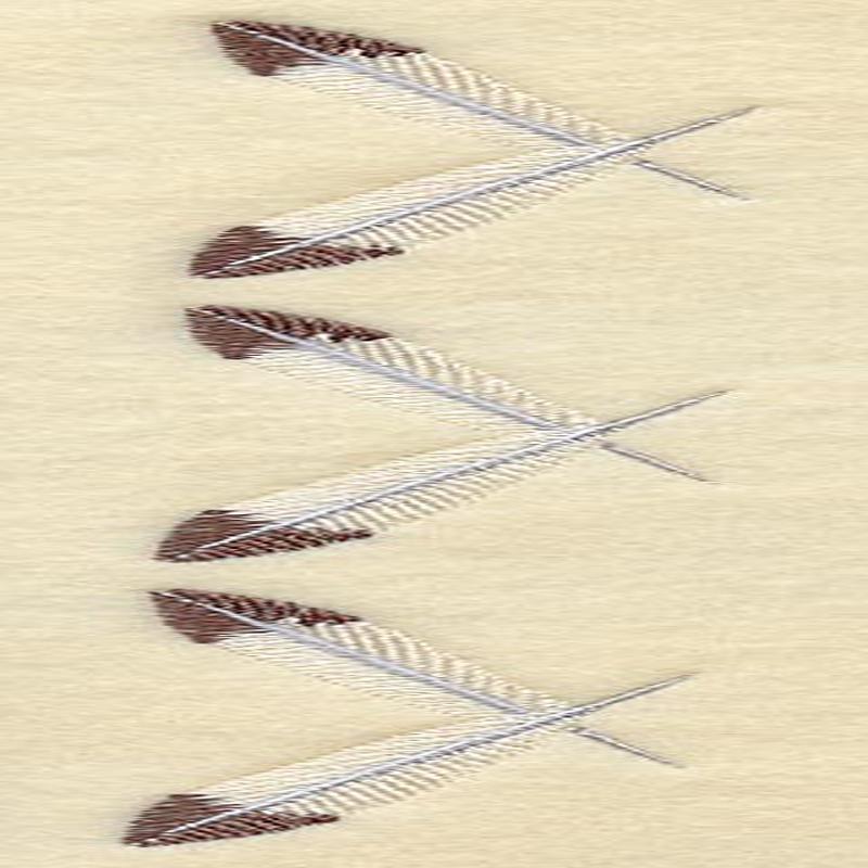 Feather Placket - Left