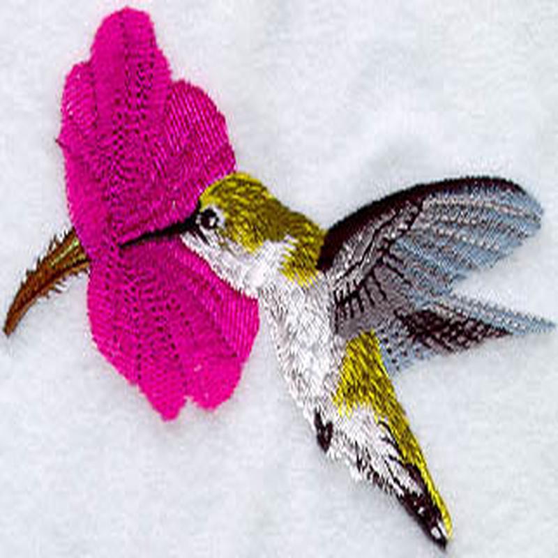 Female Ruby Throated Hummingbird W/Flower