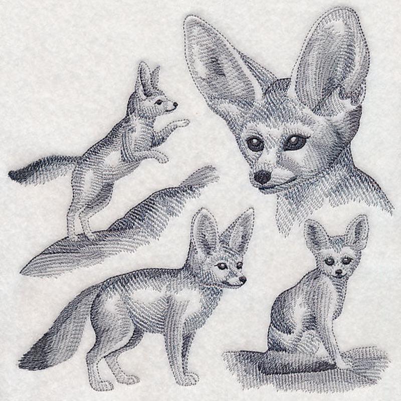 Fennec Fox Sketch