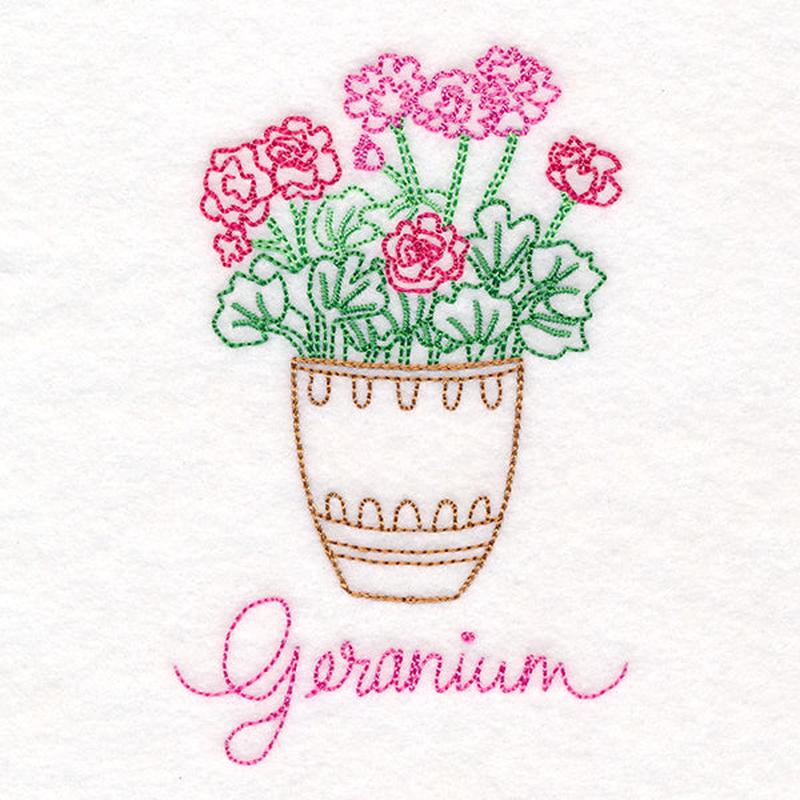 Fancy Flowerpot Geraniums (Vintage)