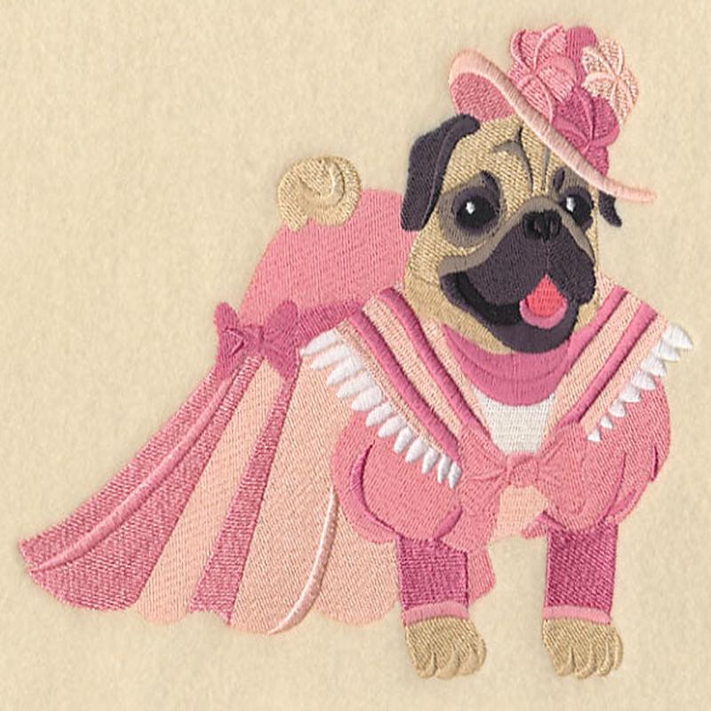 Fancy Pug