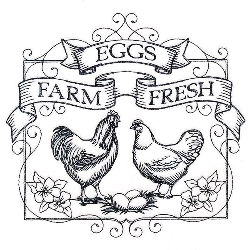 Fancy Farm Fresh Eggs