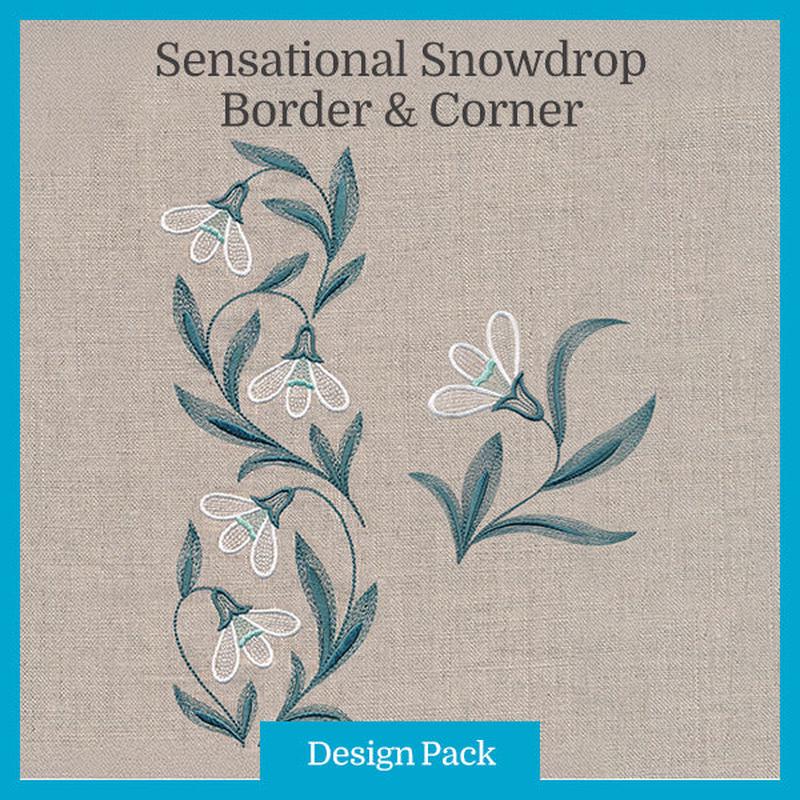 A Sensational Snowdrop Border & Corner
