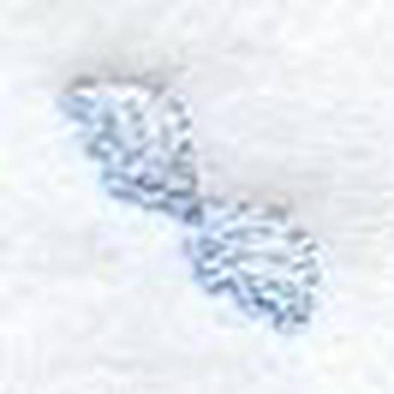 Fairy Wing Collar Tip - Mirror