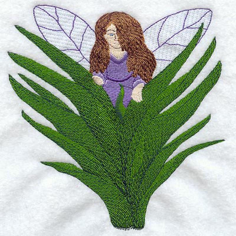 Fairy Fern