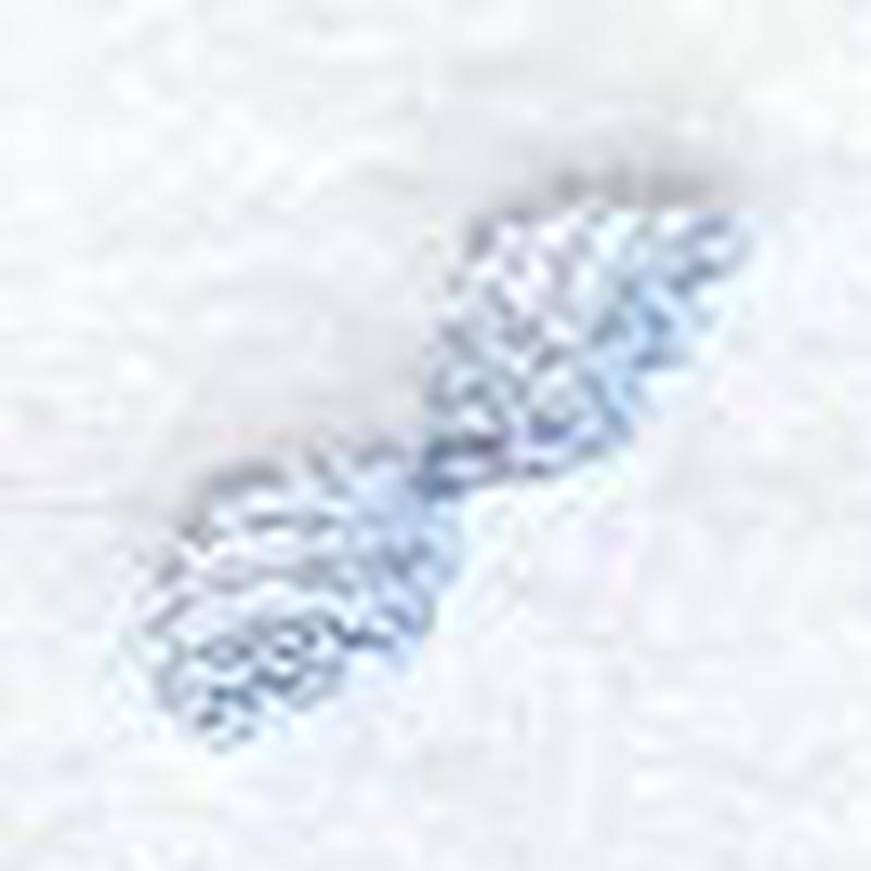 Fairy Wing Collar Tip