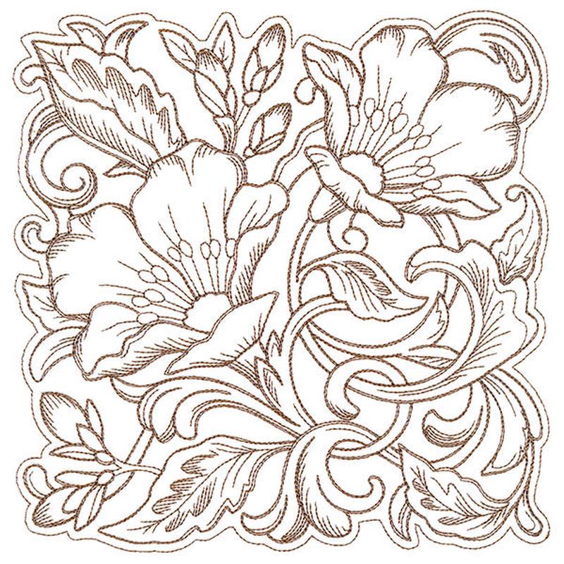 Evening Desert Primrose Square