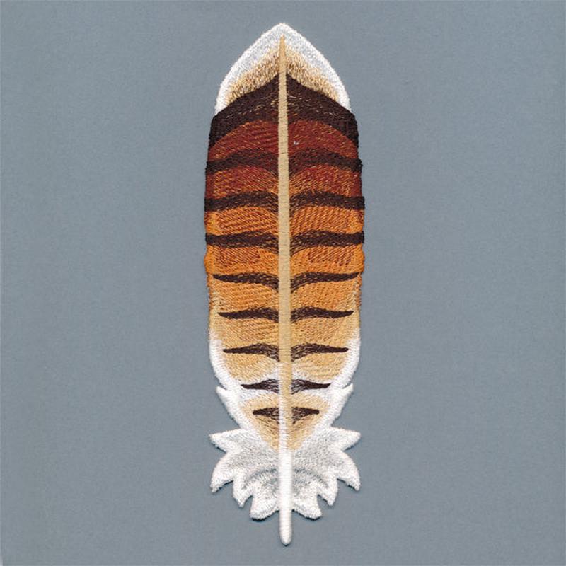 Exquisite Red-tailed Hawk Feather (In-the-Hoop)