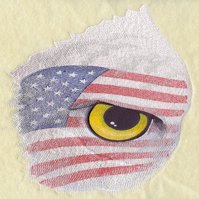Eye of the American Eagle