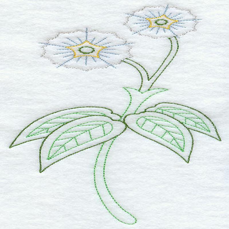 Eucalyptus Gum (Vintage)